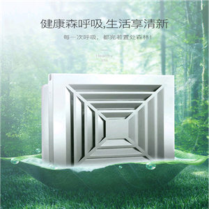 換氣扇集成吊頂 鋁扣板 廚房衛(wèi)生間大功率排風(fēng)排氣扇