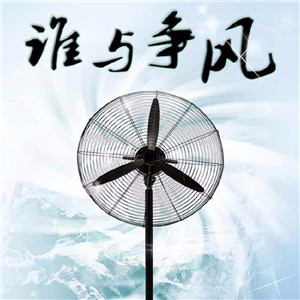 大功率工業(yè)風扇 大風力牛角扇